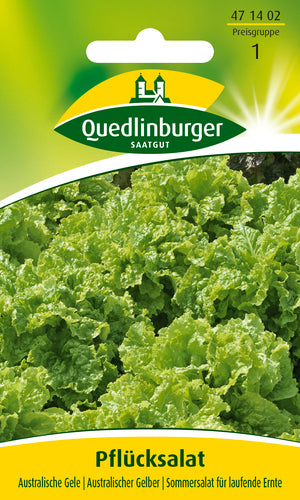 QUEDLINBURGER SAATGUT Pflücksalat „Australische Gele“ PG 1