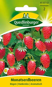 QUEDLINBURGER SAATGUT Monatserdbeere Rügen PG 2 als Gemüsesamen
