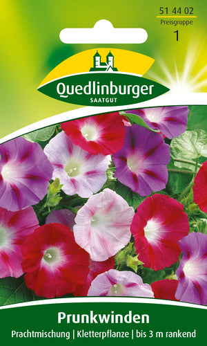 QUEDLINBURGER SAATGUT Trichterwinde Prachtmischung (bunt) – Blumensamen