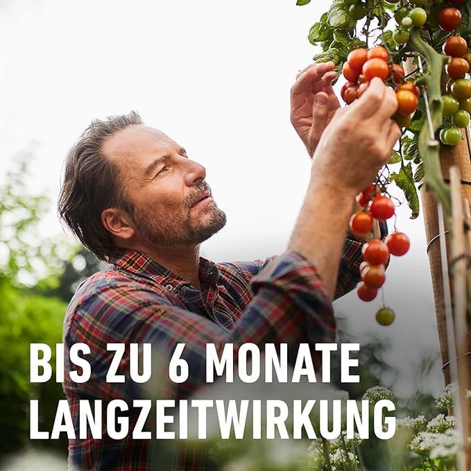 COMPO Tomaten Langzeit-Dünger EREG Feststoffdünger für außen