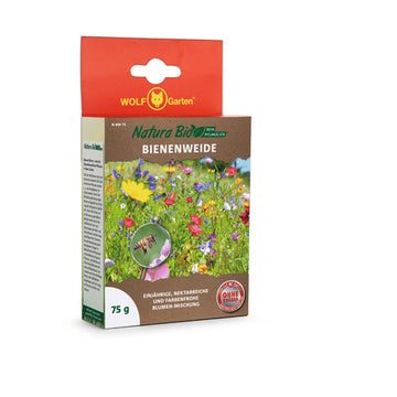 Stanley Bienenweide Natura Bio als Blumensamen für 75 m²