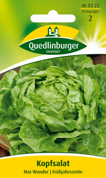 Quedlinburger Saatgut Kopfsalat „Mai Wunder“ PG 2
