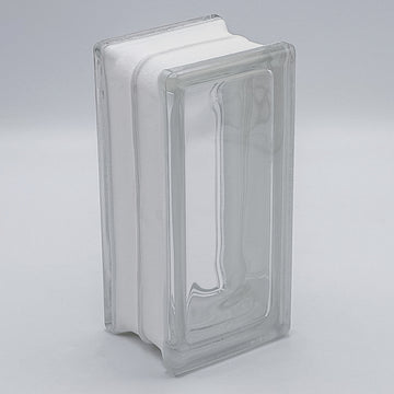 Fuchs Design Basic Glasbaustein Vollsicht klar, 19 x 19 x 8 cm