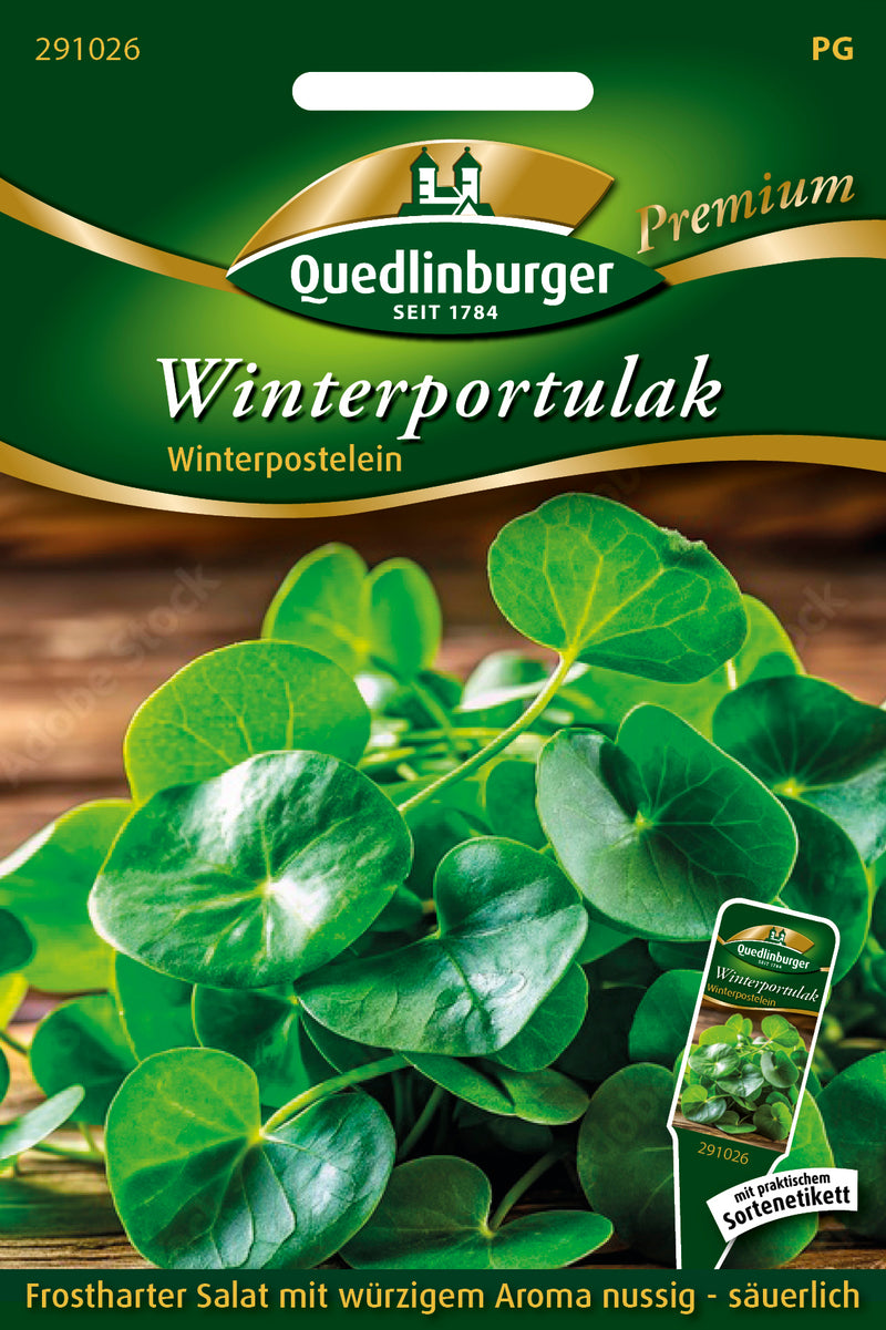 Quedlinburger Saatgut Winterportulak/„Postelein“ PG 9