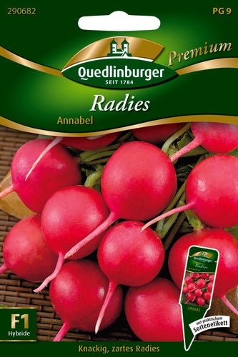 QUEDLINBURGER SAATGUT Radies Annabel als Gemüsesamen