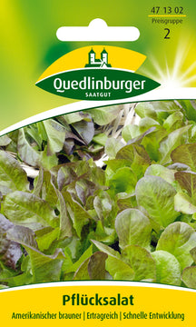 Pflücksalat „Amerikanischer Brauner“ – QUEDLINBURGER SAATGUT – Gemüsesamen (PG 2)