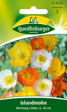 QUEDLINBURGER SAATGUT Islandmohn Mischung – bunte Blumensamen, PG 3