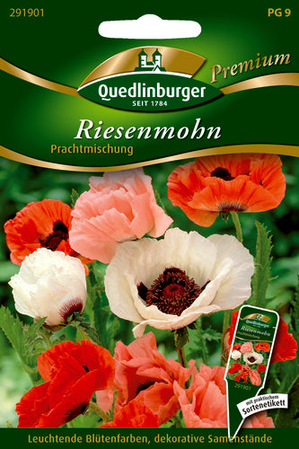 QUEDLINBURGER SAATGUT Türkischer Mohn „Prachtmischung“ (PG 9 Premium)