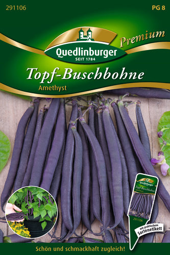 QUEDLINBURGER SAATGUT Topf-Buschbohne Amethyst, violett-fadenlose Hülsen