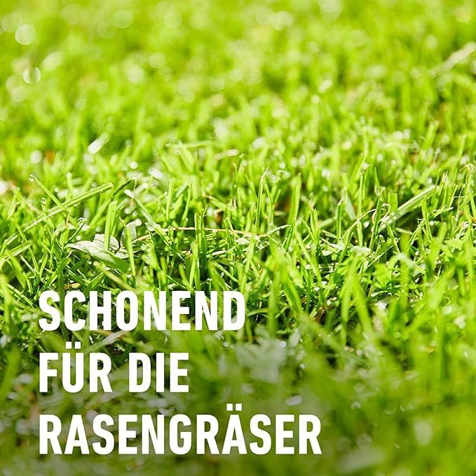 COMPO EREG Banvel Quattro B4 Rasenunkraut-Vernichter, Konzentrat