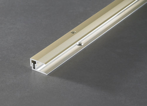 Proline PROCOVER Universal Abschlussprofil eloxiert, 1000 mm