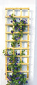 ante Rankgitter rechtwinklig grün 60 x 180 cm