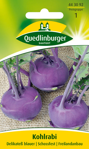 QUEDLINBURGER SAATGUT Kohlrabi Delikateß blauer Gemüsesamen PG 1