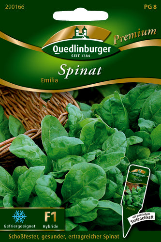 Spinat Emilia PG 8 Premium von QUEDLINBURGER SAATGUT, F1