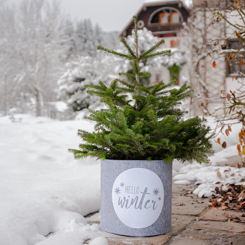 WINDHAGER Deko-Filz-Topfschutz Hello Winter L, grau/weiß