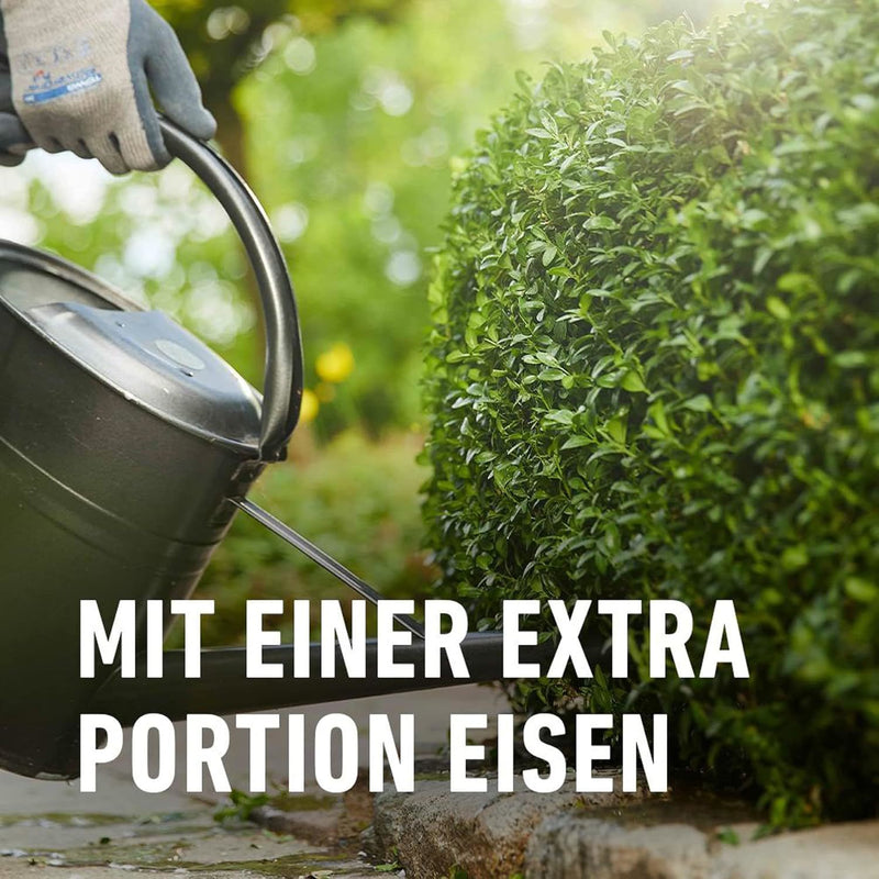 COMPO Buchsbaum-Ilex Langzeit-Dünger EREG Feststoffdünger außen