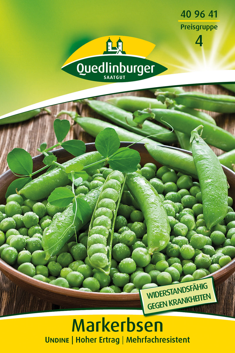 QUEDLINBURGER SAATGUT Markerbse Undine PG 4 Saatgut