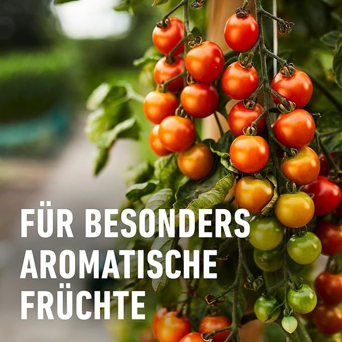 COMPO Tomaten Langzeit-Dünger EREG Feststoffdünger für außen