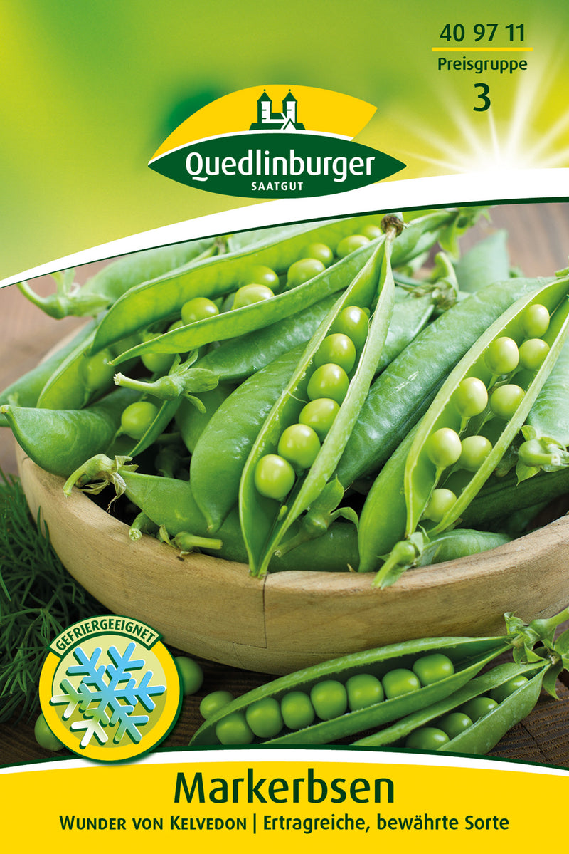 QUEDLINBURGER SAATGUT Markerbsen Kelvedon Wonder, Gemüsesamen, ca. 60 cm
