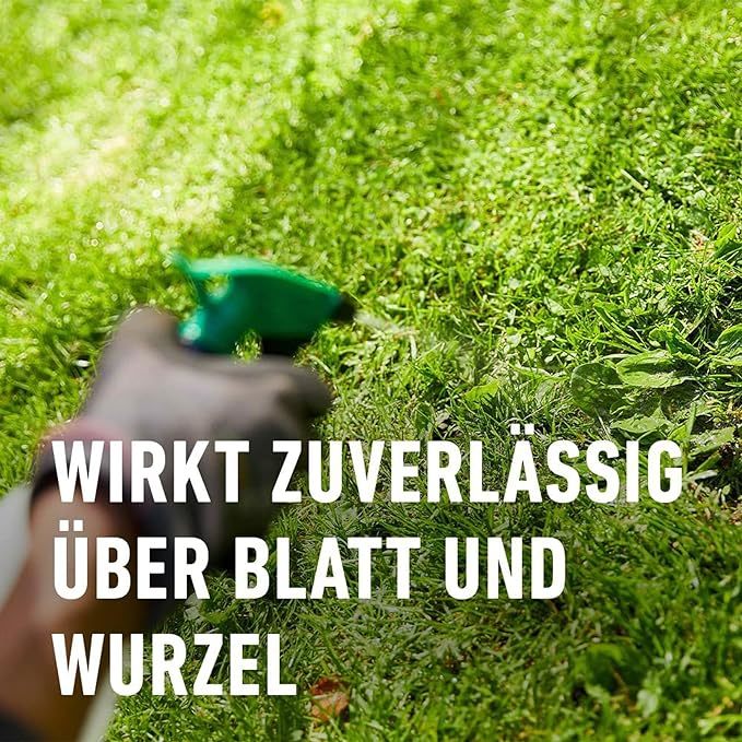 COMPO EREG Banvel Quattro B4 Rasenunkraut-Vernichter, Konzentrat