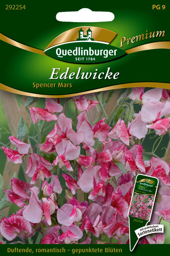 QUEDLINBURGER SAATGUT Edelwicken Spencer Mars PG 9 Premium