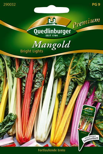 Mangold Bright Lights PG 9 Premium von QUEDLINBURGER SAATGUT, bunt