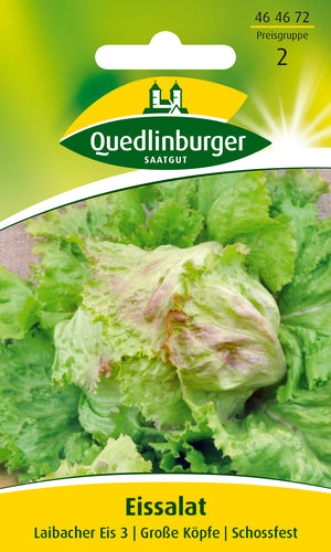Quedlinburger Saatgut Eissalat „Laibacher Eis 2“, PG 2