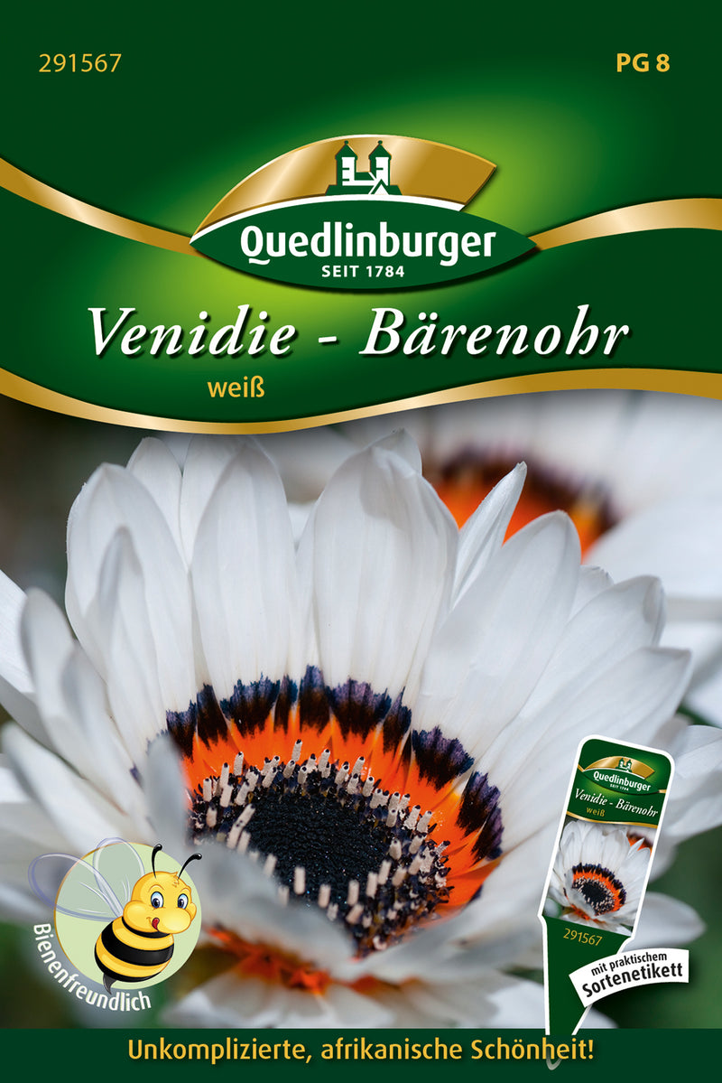 Quedlinburger Saatgut Venidie Weiß Bärenohr (Venidium fastuosum), PG 8