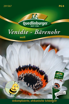 Quedlinburger Saatgut Venidie Weiß Bärenohr (Venidium fastuosum), PG 8