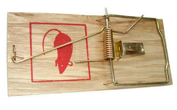 CON:P Holz-Rattenfalle, mechanischer Totfang, 1 Stück