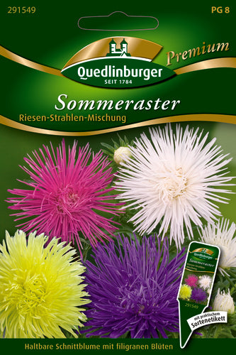 QUEDLINBURGER SAATGUT Sommerastern „Riesen Strahlen“-Mischung PG 8 Premium