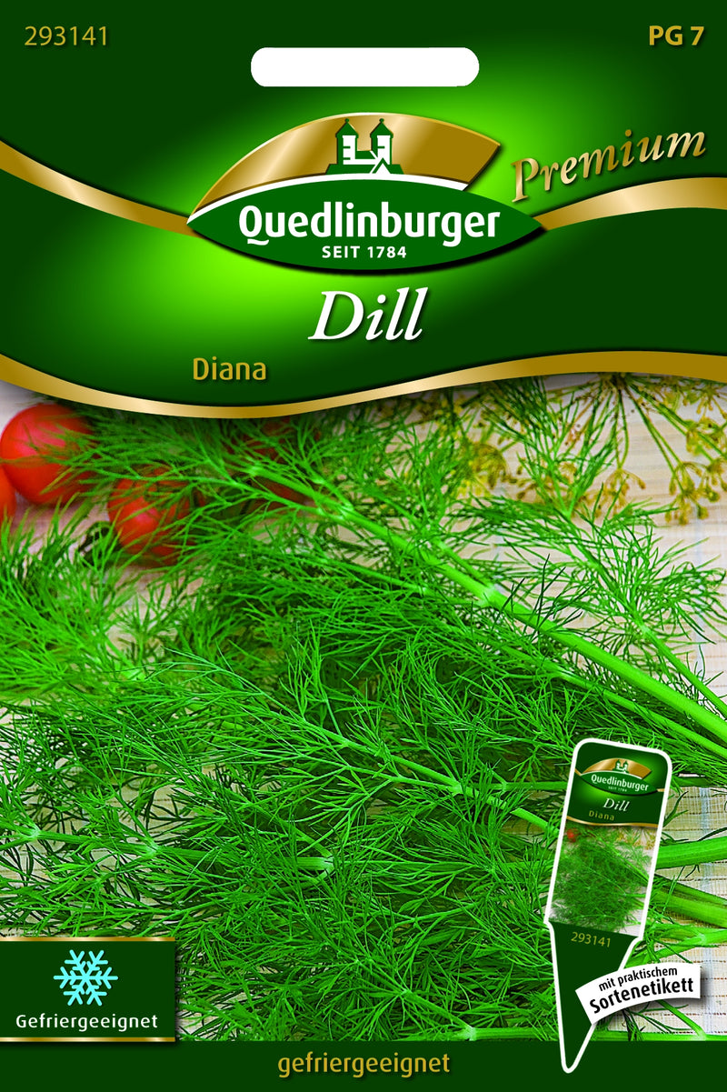 Quedlinburger Saatgut Dill Diana PG 7, Kräutersamen für direkte Aussaat