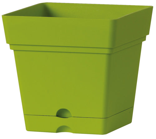 QUADRO SAMBA Wasserres. Hellgrün, gespritzter Kunststoff, 18 cm