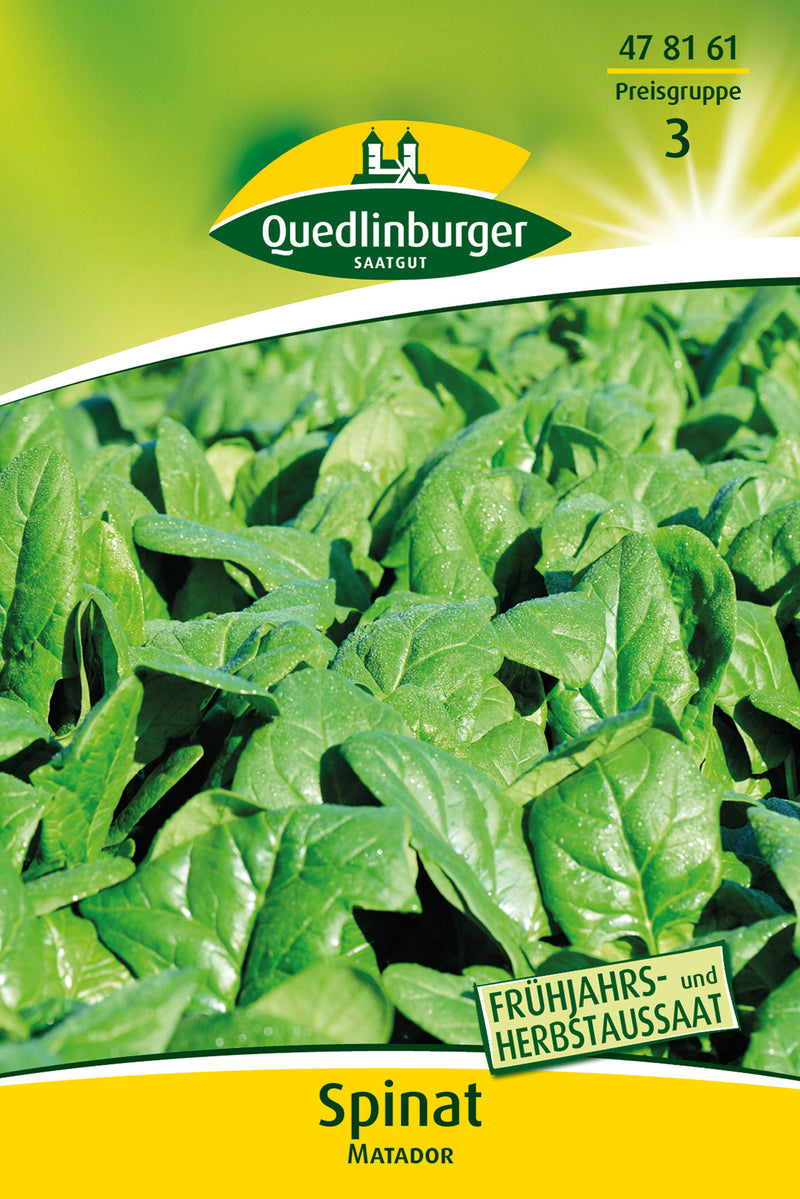 QUEDLINBURGER Spinat Matador GP – Gemüsesamen, sonniger Anbau (20 g)