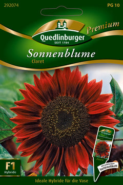 Quedlinburger Saatgut Sonnenblumen Claret PG 10 Premium – rotbraune Blüten, ca. 130 cm
