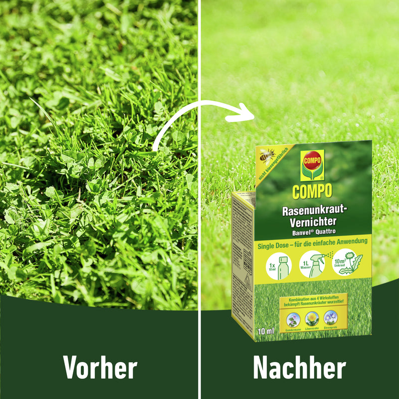 COMPO EREG Banvel Quattro B4 Rasenunkraut-Vernichter, Konzentrat