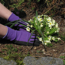 handschuhe wondergripviola violett gr.8