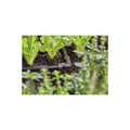 GARDENA Micro-Drip-System L-Stück 13 mm (1/2")