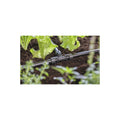 GARDENA Micro-Drip-System T-Stück 13 mm (1/2")