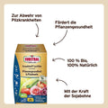 Weitere Bilder