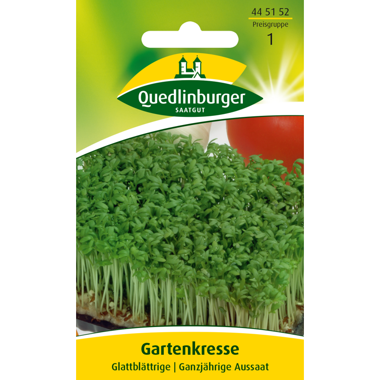 gartenkresse, glattblättrige