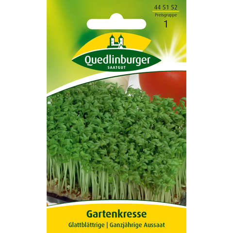 gartenkresse, glattblättrige