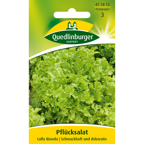 pflücksalat, lollo bionda