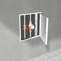 revisionstür softl.weiß 800x800mm