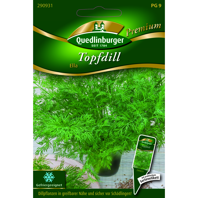 topfdill