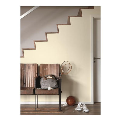 wandfarbe zartes leuchten 2,5l