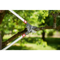 Weitere Bilder