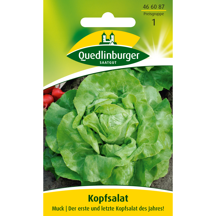 kopfsalat muck