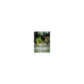 ponduett 3000 - 1.500 l/h filterpumpe