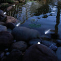 Weitere Bilder
